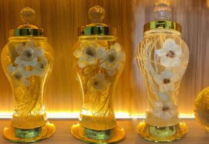 bình ngâm rượu, điểm bán bình ngâm rượu giá đại lý