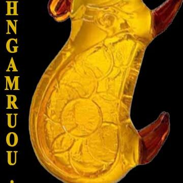 Binhngamruou.com | Bình Ngâm Rượu | Binh ngam ruou